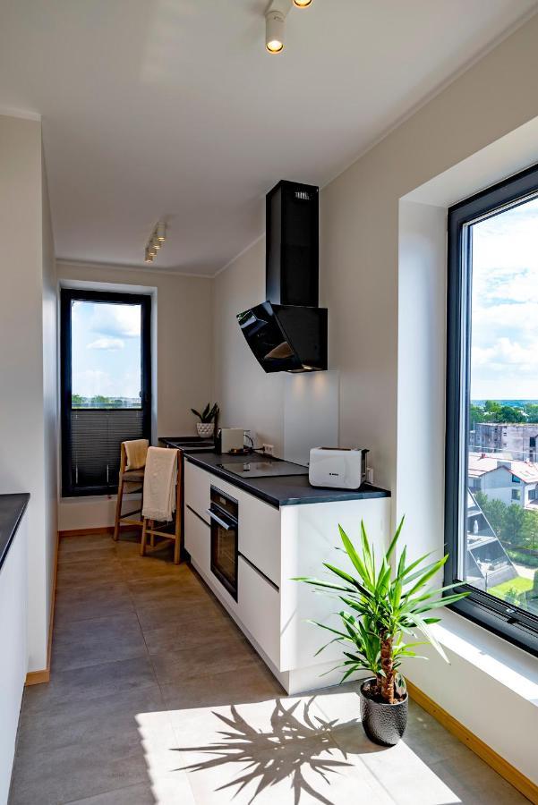 Artisa Riia Str 20B Luxury Penthouse Apartment タルトゥ エクステリア 写真
